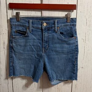 Anthropologie Level 99 Sky Blue Denim Shorts